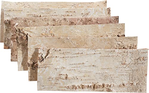 6 Stk Birkenplatte 30x12cm Birkenrinde Holzplatte Rinde Birke Rindenplatten Naturdeko Untersetzer Tischdeko Herbstdeko Weihnachtsdeko Basteln Birch Wood … 6 Stk Birkenplatte 30x12cm Birkenrinde Holzplatte Rinde Birke Rindenplatten Naturdeko Untersetzer Tischdeko Herbstdeko Weihnachtsdeko Basteln Birch Wood … von Othmar