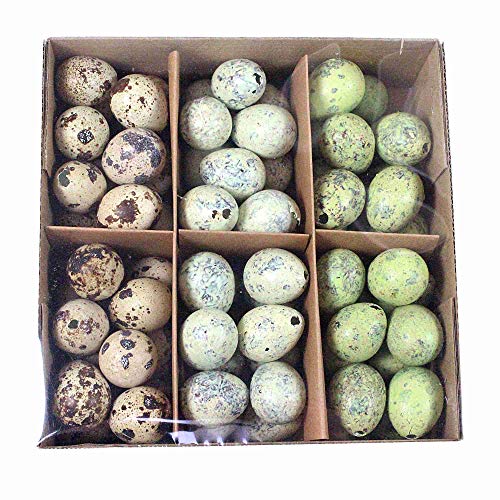 72 echte Wachteleier 3cm bunt ausgeblasen Natur grün blau Eier Ostereier Ostern von Othmar