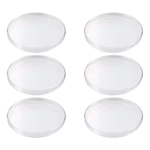 Othmro Vented Plastic Sterile Petrischalen Transfer Culturing Cells Perfektes Kit für School Science Fair Project und Party Wiederverwendbare 150mm Dia Round 10pcs von Othmro