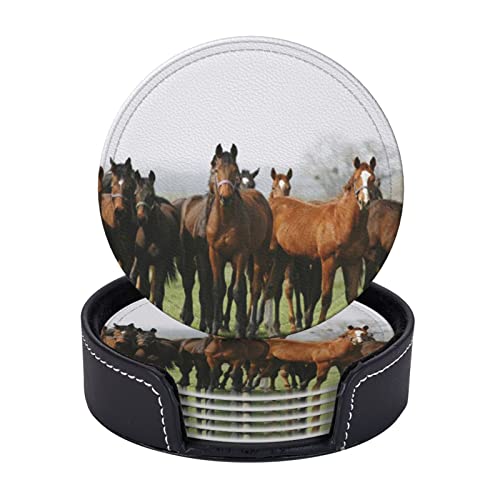 Lederuntersetzer-Set mit 6 Untersetzern, alle Arten von Pferdeuntersetzern, hitzebeständiges Untersetzerset für Getränke, Kaffee, Tee Lederuntersetzer-Set mit 6 Untersetzern, alle Arten von Pferdeuntersetzern, hitzebeständiges Untersetzerset für Getränke, Kaffee, Tee von Oudrspo