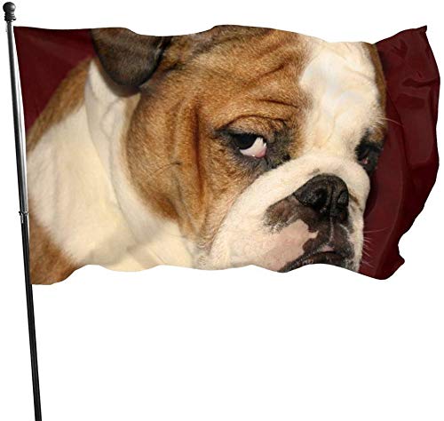 Outdoor Molly Garden Flag, Yard Flag 3 x 5 ft Dekorationen für Zuhause im Freien von Oudrspo
