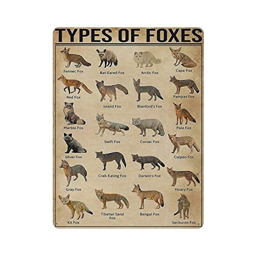 Types of Foxes Poster Metall Blechschild Kunst Wandschild Dekor Vintage Retro Schild Eisen Malerei Aluminium Schild für Heimdeko Bar Shop Männer Höhle Outdoor Garage Indoor 16"x12" von Oudrspo