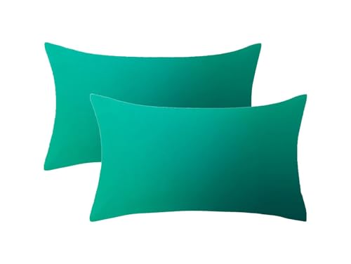 Outdoor Kissen Wetterfest, Blaugrün Kissenbezug 60x90cm 2er Set, Frühlingsdekokissen Grün Muster mit Unsichtbarem Reißverschluss,Sofakissen Outdoor Samt Zierkissen für Balkon Garten Deko,Model1018 Outdoor Kissen Wetterfest, Blaugrün Kissenbezug 60x90cm 2er Set, Frühlingsdekokissen Grün Muster mit Unsichtbarem Reißverschluss,Sofakissen Outdoor Samt Zierkissen für Balkon Garten Deko,Model1018 von Oujkeef