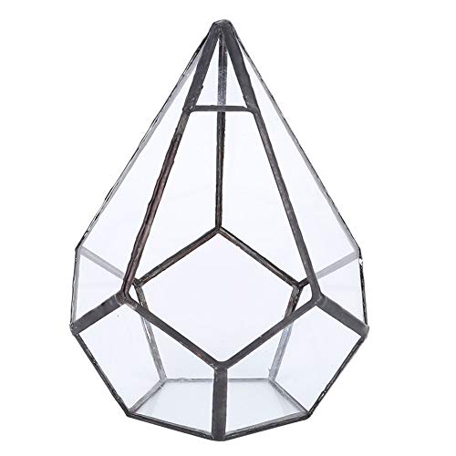 Stilvolle geometrische Terrarium Glas Blumentopf Pflanze Luft Sukkulenten Terrarium Box Schmuckschatulle Glas Home Decoration von Oumefar