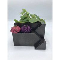 Oddish Air Pflanzer | Seltsam Saftig Kuriose Dorm Schreibtisch Planter Büro Einzigartige von OurCustom3dDesigns