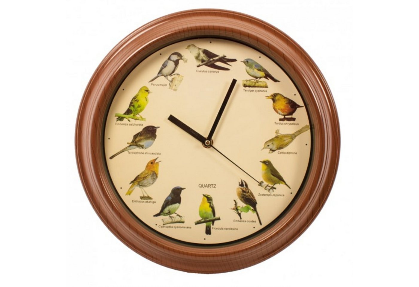 Out of the Blue Wanduhr Wanduhr aus MDF mit Vogelstimmen Out of the Blue Wanduhr Wanduhr aus MDF mit Vogelstimmen von Out of the Blue