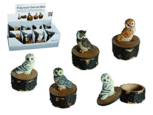 Out of the Blue Eule auf Box Out of the Blue Eule auf Box von Out of the blue