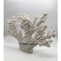 13"Faux Coral Display | Weiße Koralle Herzstück I Korallen Dekoration Umweltfreundliche Faux Decor von OutIslandEssentials