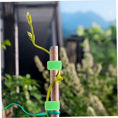 Outanaya 4 Rollen Wiederverwendbare Pflanzenbinder Wetterfeste Gartenschlaufen Pflanzensicherung für Sträucher und Kletterpflanzen mit Starker Wind Regenresistenz Outanaya 4 Rollen Wiederverwendbare Pflanzenbinder Wetterfeste Gartenschlaufen Pflanzensicherung für Sträucher und Kletterpflanzen mit Starker Wind Regenresistenz von Outanaya