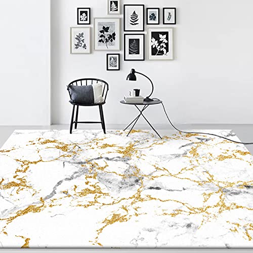 Teppiche große Wohnzimmer Teppiche Modisches grau-weiß marmoriertes Gold für Wohnzimmer Flur Schlafzimmer Hauptdekoration Anti Rutsch Teppich 80 x 200 cm von Outdoor-QJ