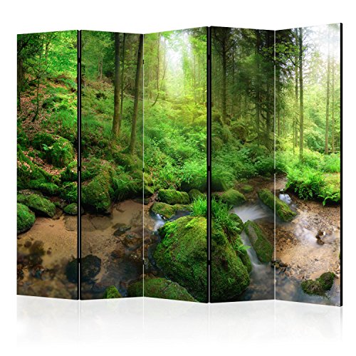 Raumteiler – Humid Forest II [Room Dividers] [225 x 172] von Ovegna