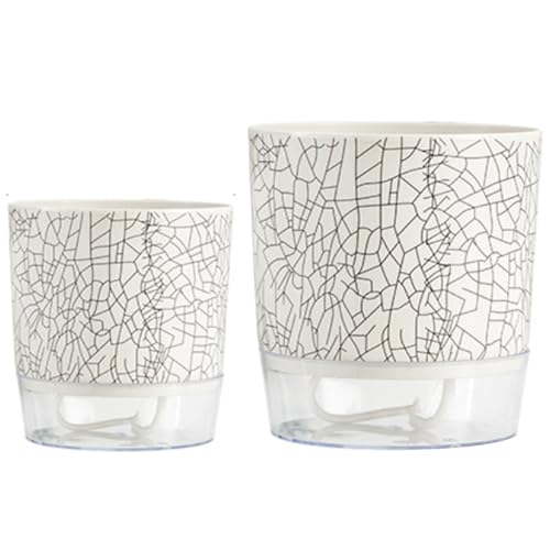 Owddddtnxc Self Watering Plant Pot 2PCS Selbstbewässerungsplanter 4.3 '' & 5, 5 '' Töpfe mit tiefem Stausee Innenpflanztopf für Spinnenstil 2 Töpfe für Innenpflanzen Owddddtnxc Self Watering Plant Pot 2PCS Selbstbewässerungsplanter 4.3 '' & 5, 5 '' Töpfe mit tiefem Stausee Innenpflanztopf für Spinnenstil 2 Töpfe für Innenpflanzen von Owddddtnxc
