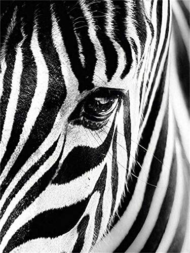 Owdqwg DIY 5D Diamond Painting Kit Schwarzes weißes Zebra Diamond Painting Home Decor Handarbeiten Diamantstickerei Strass Bild 30x40cm Runder Diamant von Owdqwg