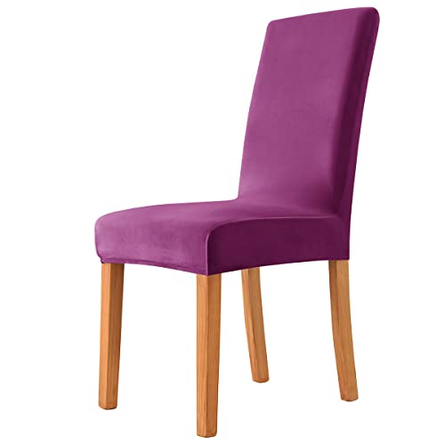 OwkHome Dehnbare Stuhlhussen aus Samt for Esszimmerstühle, 2er-Set, armloses Design for Schutz von Küche und Esszimmer(Purple,2 Pieces) von OwkHome