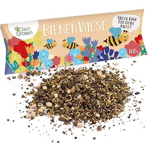 Bienenwiese Blumenmischung: 100g Premium Bienen Saatgut für bunte Bienenweide, Bienen und Hummelmagnet - bienenfreundliche Blumensamen Mischung ein- und mehrjährig - Blumenwiese Samen von OwnGrown von OwnGrown