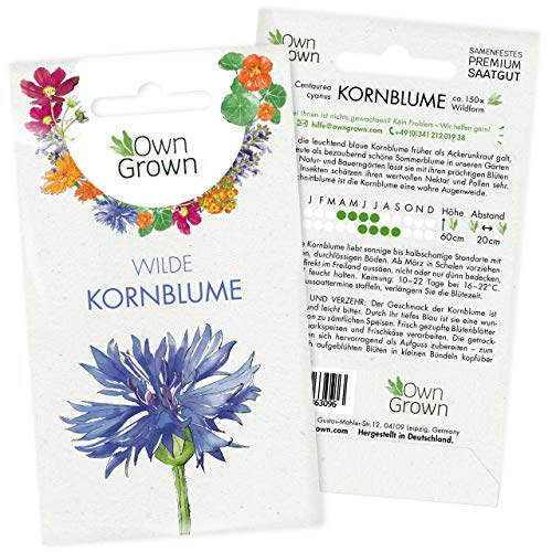 Blaue Kornblumen Samen: Premium Blaue Kornblume Samen für ca. 150x blühende Wilde Kornblumen Pflanze – Schöne Garten Blumen Saatgut, Blumenwiese Samen – Flower Seeds – Wildblumen Saatgut von OwnGrown von OwnGrown