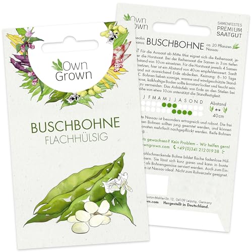 Bohnen Samen Buschbohne: flachhülsige Buschbohnen Samen für 6 wüchsige Bohnen Pflanzen - Gemüse Saatgut Bohnen – Samen Gemüse Samen – OwnGrown von OwnGrown
