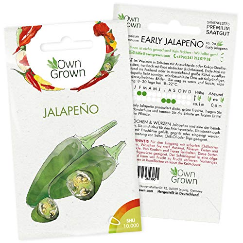 Chili Samen Early Jalapeño: 5 Premium Early Jalapeno Chilisamen zum Anbau von Chili Pflanzen für Balkon, Kübel und Garten – Jalapeno Samen für grüne Chilipflanzen – Chili Samen scharf von OwnGrown von OwnGrown