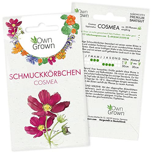 Cosmea Samen Bunt: Premium Schmuckkörbchen Cosmeen Samen für 100x blühende Schmuckkörbchen Pflanze – Essbare Blumen Samen – Bunte Blumensamen Schmuckkoerbchen Saatgut – Wiesenblumen Samen von OwnGrown von OwnGrown