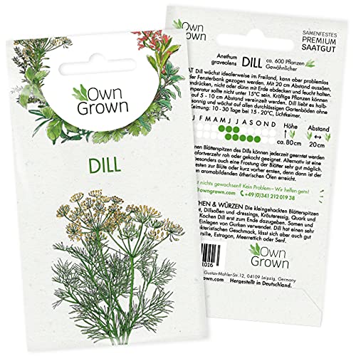 Dill Samen (Anethum graveolens): Premium Kräuter Samen für die Anzucht von ca 600 Dill Pflanzen - Dill Saatgut für Garten Kräuter und Balkon Kräuter - Wildkräuter Samen - Gartenkräuter OwnGrown Samen von OwnGrown