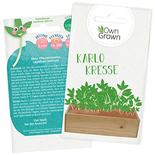 Garten Kresse Samen mit 1200x Kressesamen Kinder: Premium Gartenkresse Samen für Kinder u. Erwachsene – Kräuter Samen – Kresse Karlo – Sprossen Samen, Kräuter Saatgut, Keime und Sprossen von OwnGrown von OwnGrown