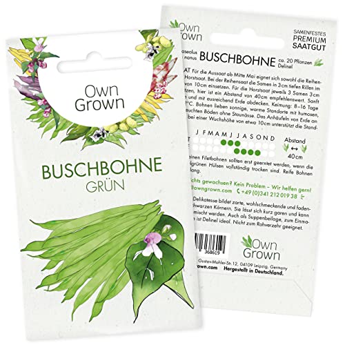 Grüne Bohnen Samen Buschbohnen: Grüne Buschbohnen Samen für 20 Bohnen Pflanzen – Bohnensamen Buschbohne – Samen Gemüse Samen – OwnGrown Saatgut Bohnen von OwnGrown