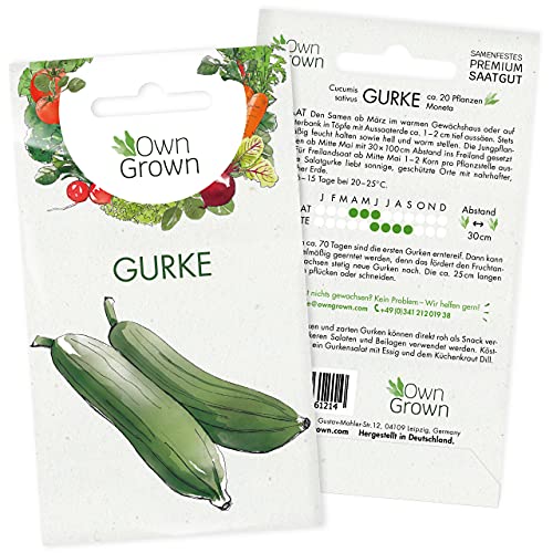 Gurken Samen: Gurken Saatgut für ca. 20 Gurken Pflanzen – Gemüse Samen – Samen Gemüse – Gemüse Pflanzen Samen für Gemüse Anzucht – Gurke Samen – Gurkenpflanzen für Gewächshaus – OwnGrown Salatgurken von OwnGrown