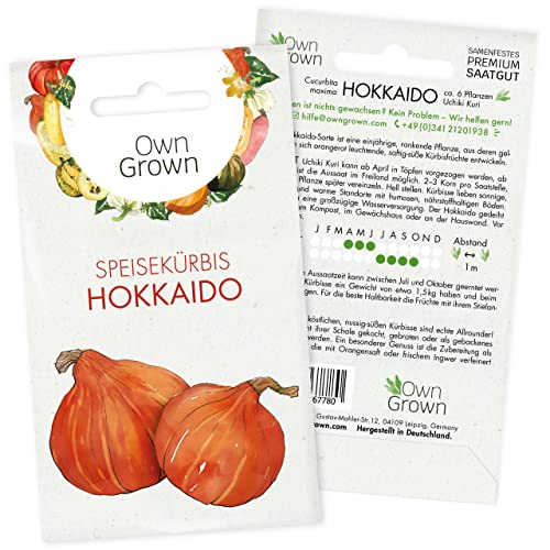 Hokkaido Samen: Premium Uchiki Kuri Hokkaido Kürbis Samen zur Anzucht von 6 Kürbis Pflanzen – Gemüse Samen für die Hokkaido Kürbis Pflanze – Kürbissamen Hokkaido – Hokaido Samen Gemüse von OwnGrown von OwnGrown