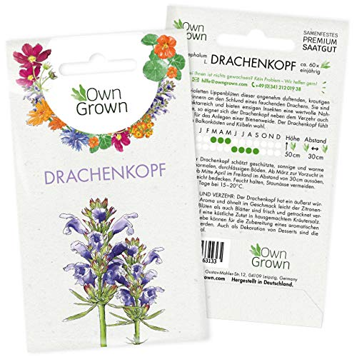 Moldawischer Drachenkopf Samen: Premium Drachenkopf Saatgut für ca. 60x blühende Wildblumen Pflanzen – Schöne Essbare Blumen Samen – Balkon Samen für Bienen Pflanzen – Wildblumen Saatgut von OwnGrown von OwnGrown