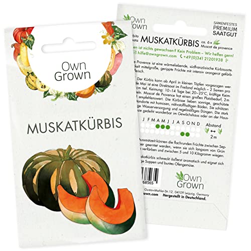 Muskat Kürbis Samen: Premium Muskatkürbis Samen für 6 wüchsige Gemüse Pflanzen – Saatgut Kürbis – Gemüse Samen Kürbis – Gemüsesamen – OwnGrown Seeds von OwnGrown