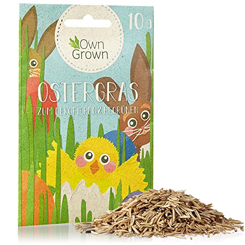 Ostergras Samen zum Dekorieren und Begrünen: 10g Schönes Ostergras für die Anzucht auf Fensterbank, Balkon, in Topf und Schale – Katzengras Samen – Ostergras Saatgut – Premium Pflanzensamen OwnGrown von OwnGrown