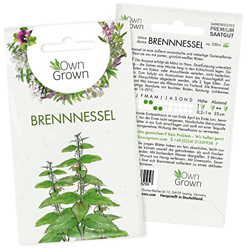 OwnGrown Anis Samen - Premium Saatgut für Kräutertee und Anis Tee Pflanze - 100 aromatischen Anis Pflanzen - Bio Samen von Anis, Fenchel, Kümmel, Kreuzkümmel, Kurkuma, samen kalender 2024 von OwnGrown