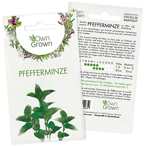 Pfefferminze Samen: Premium Kräuter Samen zum Anbau von ca. 300 Pfefferminze Pflanzen – Mehrjährige Minze Samen – Kräuter Pflanzen für Garten und Balkon – Samen Kräuter – Beste OwnGrown Kräuter Saat von OwnGrown