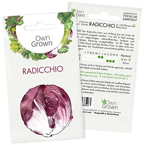 Radicchio Samen: Radicchio Rossa Samen zum Anbau von 150 Salat Pflanzen – Salat Samen Radicchio Pflanzen, Gemüse Samen, Gemüsesamen – OwnGrown Samen von OwnGrown