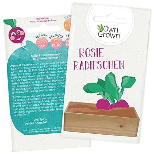 Radieschen Samen für ca 100 Pflanzen: Premium Radieschen Saatgut für Kinder und Erwachsene – Gemüse Samen – Rosie Radieschen Garten Pflanzen Saatgut für Kids – Garten Geschenke, Samen Gemüse OwnGrown von OwnGrown