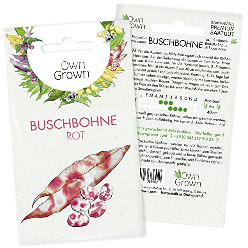 Rote Bohnen Samen Buschbohnen: Rote Buschbohnen Samen für 15 Bohnen Pflanzen – Bohnensamen Buschbohne – Samen Gemüse Samen – OwnGrown Saatgut Bohnen von OwnGrown