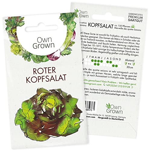 Roter Kopfsalat Samen: Kopfsalat Saatgut zum Anbau von 150 Salat Pflanzen – Salat Samen – Salat Saatgut – Gemüse Samen, Gemüsesamen – OwnGrown Samen von OwnGrown