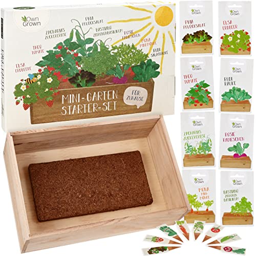 Saatgut Anzuchtset mit Holzkiste und 8 Sorten Pflanzen Samen: Kinder Anzuchtset Pflanzen mit Gemüse, Erdbeeren und Kräuter Samen – Mini Gewächshaus und Mini Garten Starter Kit von OwnGrown von OwnGrown