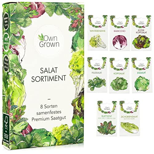 Salat Samen: 8 Sorten Salat Saatgut Set für Garten und Balkon – Kopfsalat Samen, Blattsenf, Feldsalat Samen winterhart, Radicchio, Endiviensalat Samen, Zichorie – Salat Gemüse Samen von OwnGrown von OwnGrown