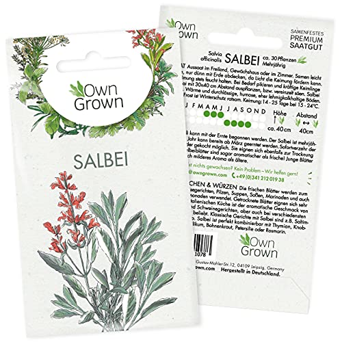 Salbei Samen (Salvia officinalis): Premium Salbei Saatgut für ca. 30 Kräuter Pflanzen – Kräutersamen für Balkon, Garten und Hochbeet kaufen – OwnGrown Samen mehrjährig für die Salbei Pflanze von OwnGrown