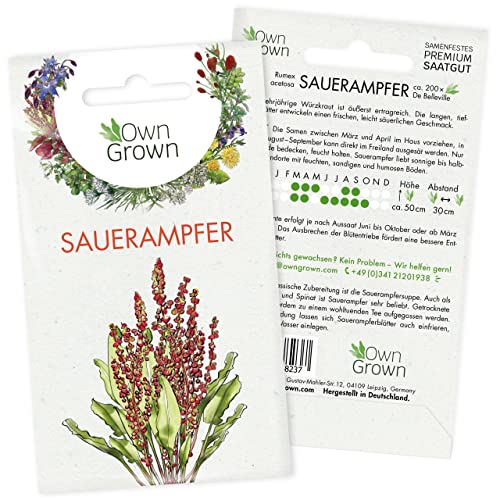 Sauerampfer Samen: Sauerampfer Saatgut zur Anzucht von 200 Kräuter Pflanzen – Wildkräuter Samen – Kräuter Saatgut – Samen Kräuter Pflanze von OwnGrown von OwnGrown