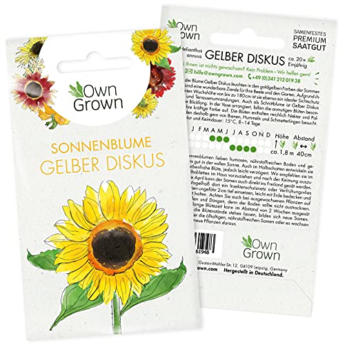 Sonnenblumen Saatgut Gelber Diskus (Helianthus annuus): Premium Sonnenblumen Samen, Sonnenblume Saat zur Anzucht von ca. 20 Sonnenblumen Pflanzen – Insektenfreundliche Blumensamen von OwnGrown von OwnGrown