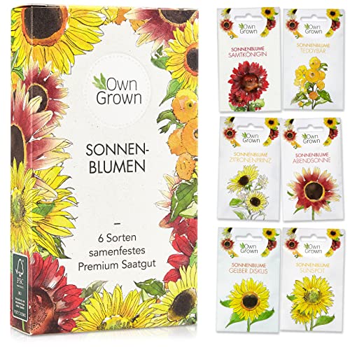Sonnenblumen Samen Set : Sonnenblumen Saatgut mit 6 Sorten – Blumen Geschenk Set mit Riesen Sonnenblumen Samen und Sonnenblumen Samen klein – Blumensamen Sonnenblumen – Saatgut Blumen von OwnGrown von OwnGrown