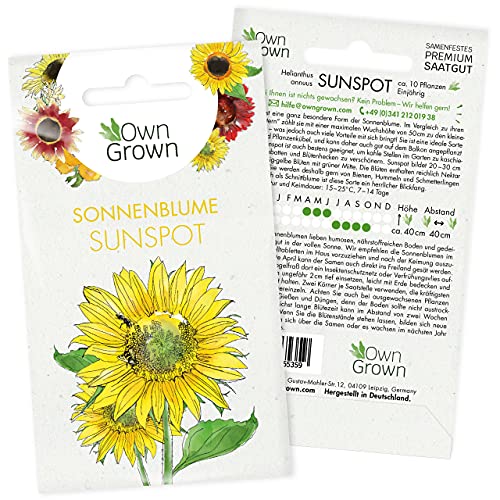 Sonnenblumen Samen Sunspot (Helianthus annuus): Premium Sonnenblumen Saatgut für Sonnenblume Mini Sorte, Sonnenblume Saat zur Anzucht von ca. 30 Pflanzen – Insektenfreundliche Blumensamen von OwnGrown von OwnGrown