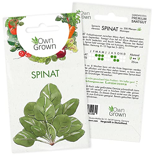 Spinat Samen: Premium Spinat Saatgut für die Anzucht von ca. 200 Spinat Pflanzen – Samenfeste Spinat Gemüse Samen – Bestes Gemüse Saatgut für Garten und Hochbeet – Samen Gemüse – OwnGrown Spinat Saat von OwnGrown