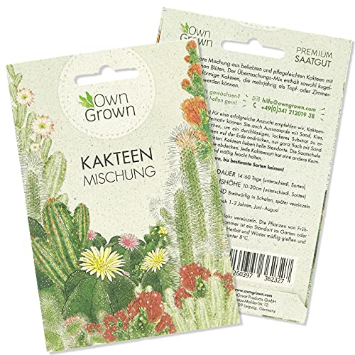 Sukkulenten Samen Mischung: Bunter Kakteen Samen Mix für die Kaktus Pflanzen Aufzucht - Kakteen Saatgut Mischung mit Zimmerpflanzen Samen - Sukkulenten echte Pflanzen - Mini Kakteen Set von OwnGrown von OwnGrown