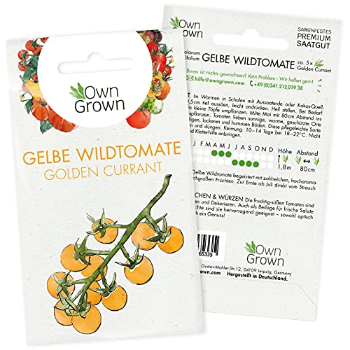 Tomaten Samen Golden Currant: Gelbe Wildtomaten Samen zum einfachen Anbau von Tomatenpflanzen für Balkon, Garten – 5 Golden Currant Tomatensamen für köstliche Kirschtomaten – Gemüse Samen von OwnGrown von OwnGrown