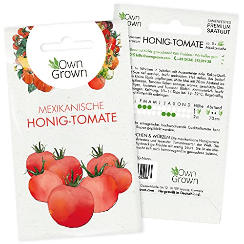 Tomaten Samen Mexikanische Honigtomate: Premium Cocktailtomaten Samen zum einfachen Anbau von Tomatenpflanzen für Balkon und Garten – 5 Mexikanische Honigtomate Samen – Gemüse Samen von OwnGrown von OwnGrown