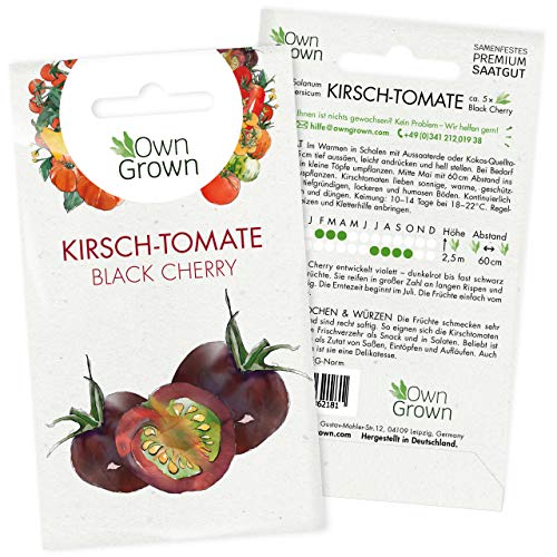 Tomatensamen Kirschtomate Black Cherry: Premium Kirschtomaten Samen zum Anbau von Tomatenpflanzen, Schwarze Tomaten Samen zur Anzucht für Balkon und Garten – 5 Gemüse Samen von OwnGrown von OwnGrown