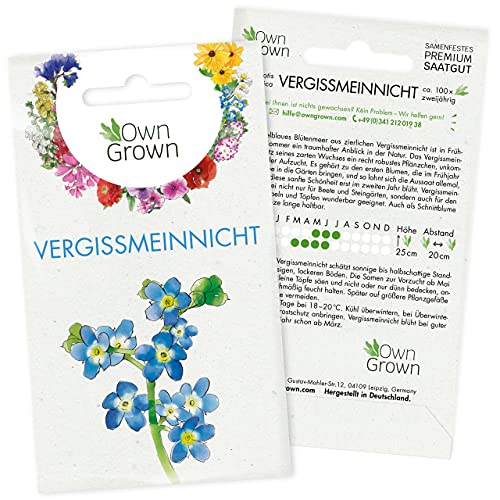 Vergissmeinnicht Samen: Premium Vergissmeinnicht Blumen Samen für ca. 100 blühende Vergiss Mein Nicht Pflanzen mehrjährig – Blumensamen Vergissmeinnicht Saatgut – Vergiss Mein Nicht Samen von OwnGrown Vergissmeinnicht Samen: Premium Vergissmeinnicht Blumen Samen für ca. 100 blühende Vergiss Mein Nicht Pflanzen mehrjährig – Blumensamen Vergissmeinnicht Saatgut – Vergiss Mein Nicht Samen von OwnGrown von OwnGrown